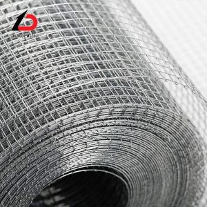 304 Galvanized Welded Wire Mesh for Fence Panel /Iron Welded Wire Mesh/Stainless