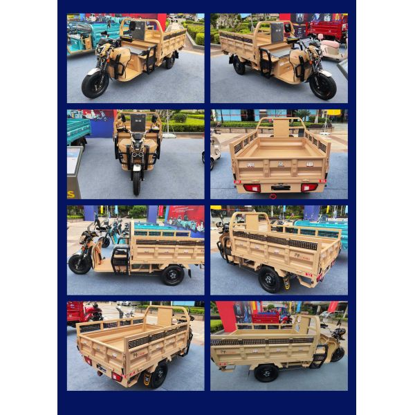 Front 3.00-12 / Rear 3.50-12 Tires Heavy Duty Load Cargo Truck Tricycle for Tunisia