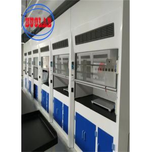 Vertical Sliding Sash Type Laboratory Fume Cupboard For Clean Lab Environment