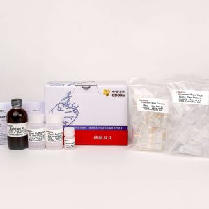 General RNA Extraction Kit R1051 50 preps