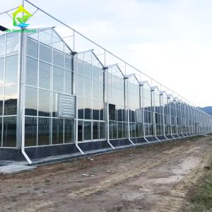 China OEM ODM Safety 5mm Tempered Glass For Greenhouse Wall Covering on sale