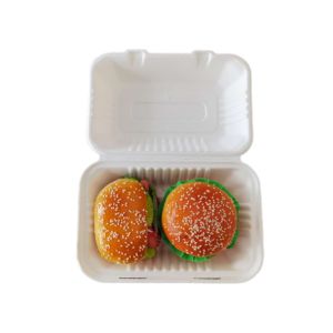 9×6 Inch Biodegradable To Go Food Containers