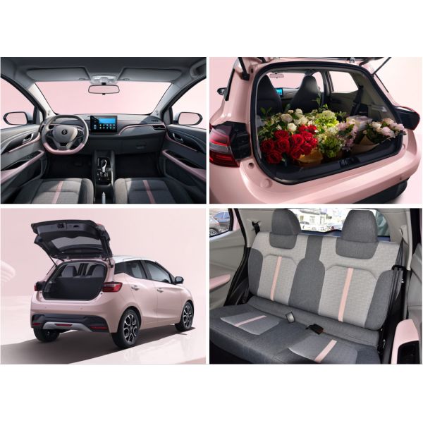 High Speed Electric Car EV3 Big Capacity Electric Car Rang Up To 320 Km