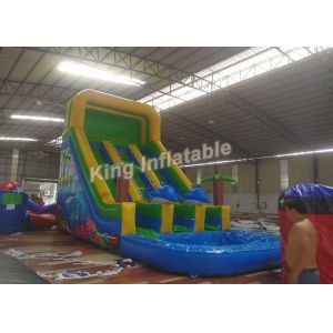 Eye Catching Green Double Lane Inflatable Water Slide With Swimming Pool