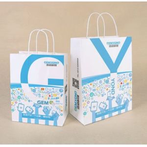 Embossed Printing Paper Bag 250gsm Printed Paper Carrier Bags