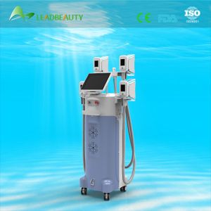 2015 multifunction lose weight 4 cryolipolysis heads 4 handls cryolipolysis