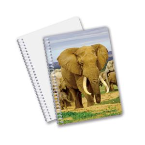 Cheap Factory Custom B5 A5 A6 3d Printing Lenticular Notebook Cute Spiral Student Notebook for sale
