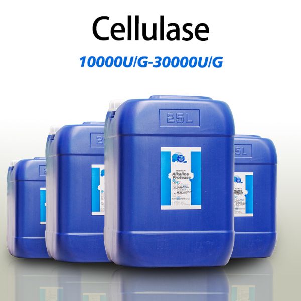 Quality cellulase foods 10000U/G cellulase enzyme manufacturer customized enzyme activity enzyme preparation with price advantage wholesale