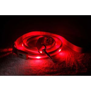Super Bright Illuminated Dog Leash Runs Over 7 Hours For Dogs Walking Training