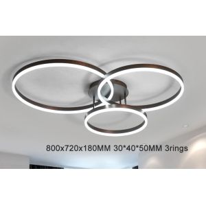 Drop Black ceiling light panels Ring Ceiling lamp For indoor home Lighting (WH