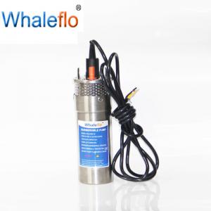 Cheap Whaleflo 12V/24 Volts  Agricultural Irrigation 8L/12L Stainless Steel Mini Submersible Solar Water Pump System for sale