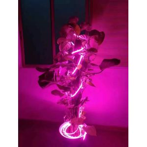 China LED Grow Strip for Plant Growth 2835 60LEDs/m 660nm on sale