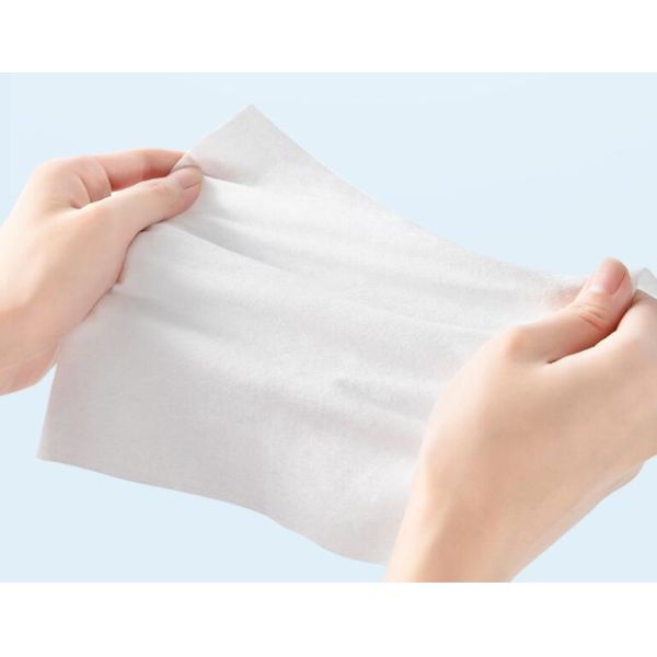 75% Alcohol Sterilized Wet Wipes Personal Antimicrobial Wipe Eco Friendly