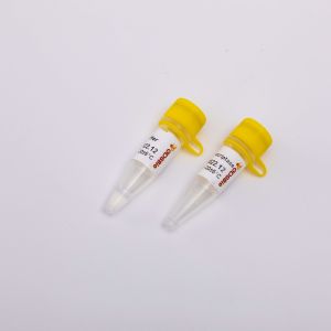 Cheap Gold Reverse Transcriptase PCR Reagents R3001 2000U for sale