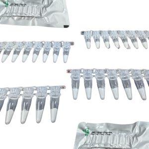 Cheap One Step Isothermal Basic RNA Amplification Kit For High Throughput RNA Analysis for sale