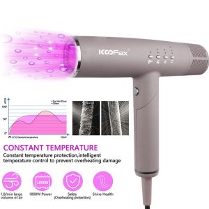 Brushless Motor Ionic Foldable Hair Dryer Multipurpose Adjustable Speed