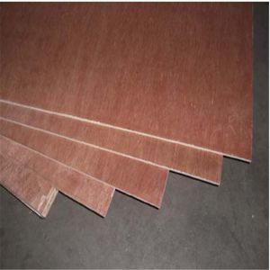 Bintangor Face Back Eucalyptus Core 5 ply Bintangor Plywood