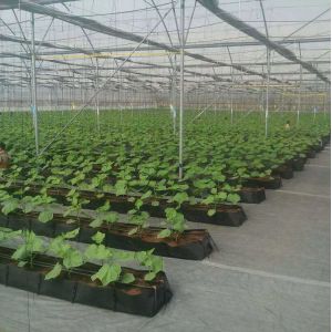 Soilless Growing System PP Growing Trough Colletcing Trough Black Growing