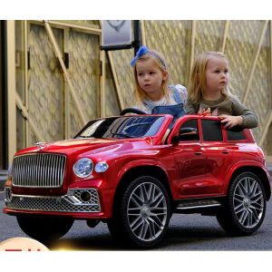 12V 2 Seater Electric Ride On Car for Toddlers G.W. N.W 23.5KGS/19KGS Age Range 5-7