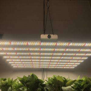 5.5cm Thickness Full Spectrum Led Bar With Smart Dimming