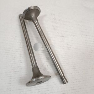NT855 machinery parts diesel engine valve intake valve 135957 3000926 4955698