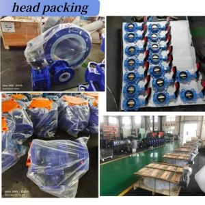 BUTTERFLY Structure Double Eccentric Flanged Butterfly Valve With Gearbox And