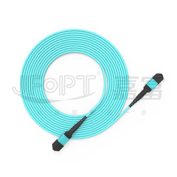 10 Gigabits MPO patch cord Fast Connection for optical signal connection in