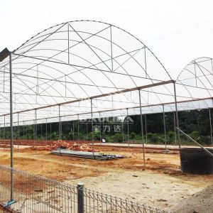 Year Round Nursery Hothouse Automated Dome Modular Multispan Tunnel Greenhouse