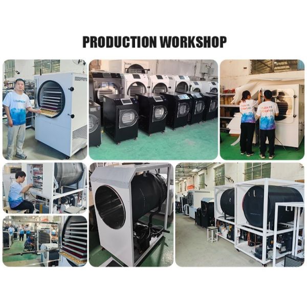 Vacuum Freeze Dryer Freeze Dryer Machine for Meat Pet Food Freeze Fruit Dryer