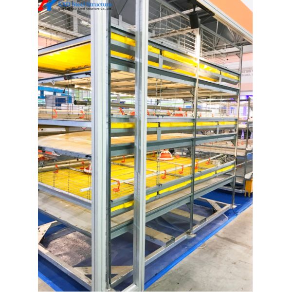 Quality A Type H Type Battery Cage Automatic Feeding System For Broiler Poultry Farming wholesale