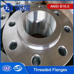 ASME B16.5 SS304 SS316 Customized Stainless Steel Threaded Flanges Raised Face Class 2500 For Industrial Applications