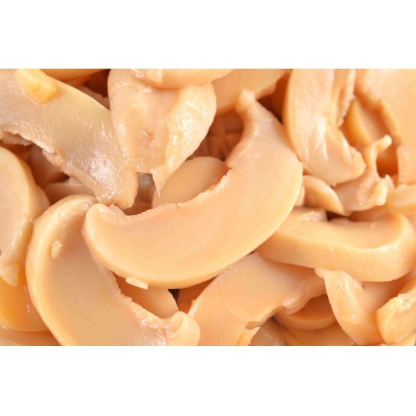 Quality Nutritious Canned Champignon Mushroom / Whole Canned Mushrooms Salty Flavor wholesale