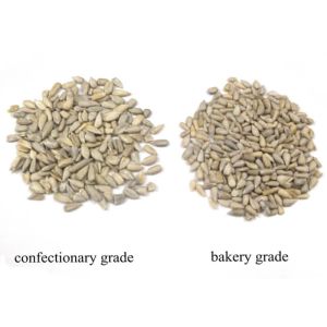 Sunflower Seeds Kernels Raw Sprouted Nuts100% Green Products Kid Friendly