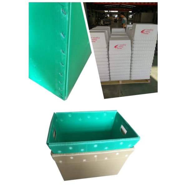 Polypropylene Corrugated Plastic Turnover Box Customized Printing