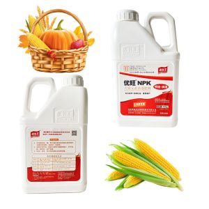 Shiny Compound Water Soluble Fertilizers NPK 100%