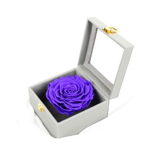 Dark Purple 7-8CM Preserved Rose Gift Box With No Harmful Substances