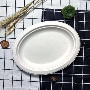 Compostable Sugarcane Bagasse Oval Pulp Packaging Oval Food Plates