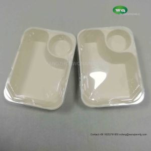 Biodegradable Unbleached 850ml Meal Box With Sauce Cup,Tree Free Sugarcane