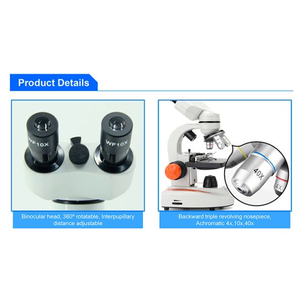 OPTO-EDU 400x Electron Optical Led Binocular Biological Microscope