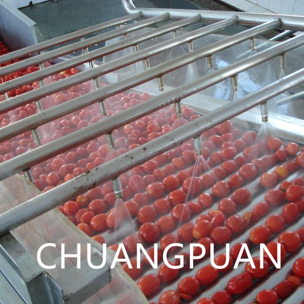 Tomato Paste Production Line|Energy-Saving 1-10T/H Aseptic Bag Package Tomato Paste Processing Machine