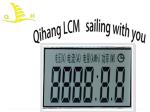 Customize 7 Segment LED Backlight TN STN FSTN LCD Display Module