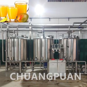 Cheap High Performance Mango Pulp Production Line 20 - 150KW Processing Pulping for sale
