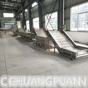 Industrial 1-10T/H Pineapple Processing Line 30-32 Brix