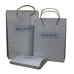 Classic Anvenue Paper Carrier Bag PVC Clip Closure 200 gsm Twist paper Handle