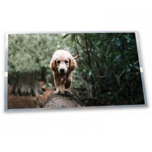 Cheap 4.3-Inch WLED LCD Display Module HSD043I9W1-A00 with 480*272 Resolution LCD Modules for sale