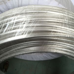 Sacrificial Anode Zinc Ribbon Zinc Anode For Above / under Ground Storage Tanks