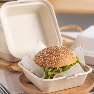 Wholesale Custom Size Biodegradable Clam Shell Boxes of Sugarcane Bagasse for