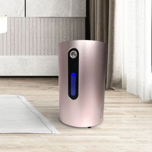 Household Hydrogen Breathing Machine Oxygen Hydrogen Generator Inhalation