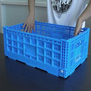 Perforated Collapsible Plastic Crates With Lids Blue Foldable