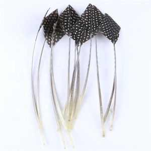Raw Pattern Millinery Feather Arrow Head Guinea Fowl Feather Quill Fast Shipping